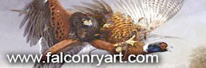 www.falconryart.com