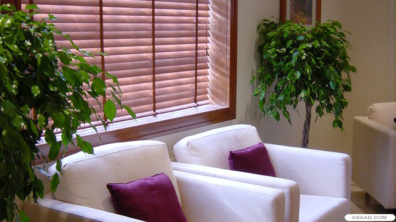 HH Sheikh Mohammed - Guest House